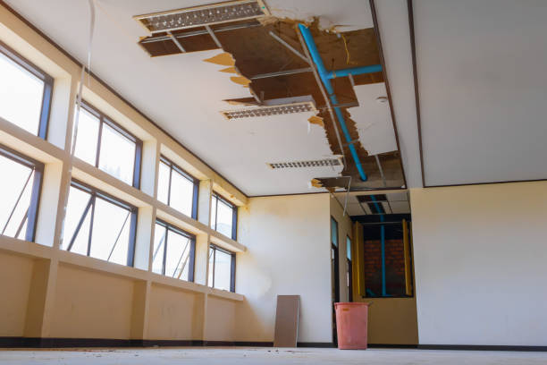 Trusted Paris, MO Water damage restoration Experts