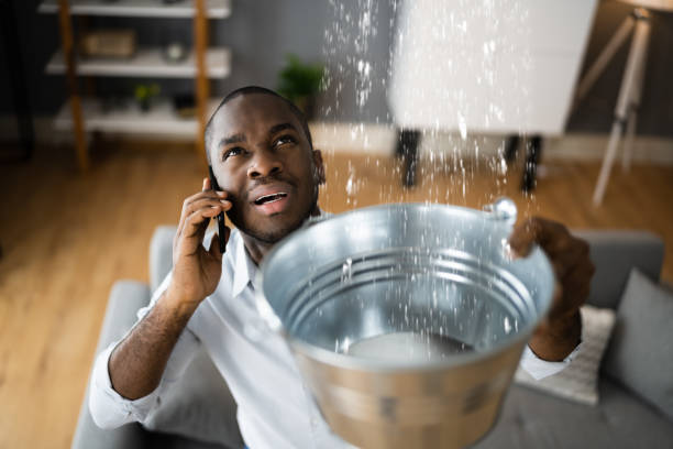 Best Water damage restoration process  in Paris, MO