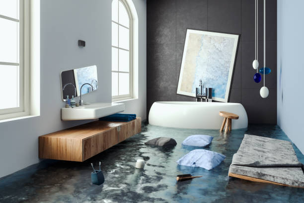 Best 24/7 water damage repair  in Paris, MO