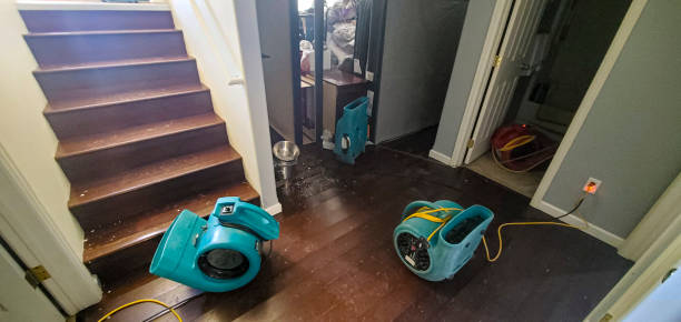 Best 24/7 water damage repair  in Paris, MO