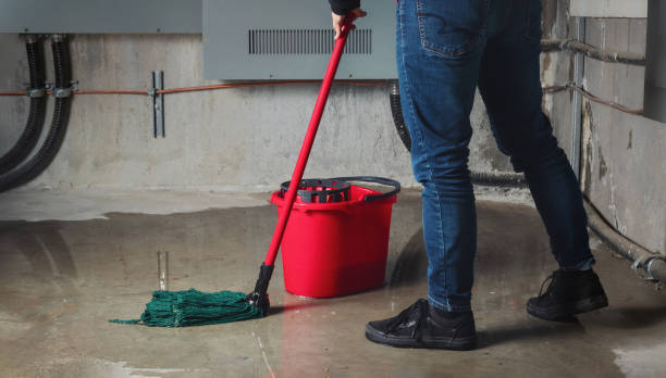 Best Basement water damage restoration  in Paris, MO