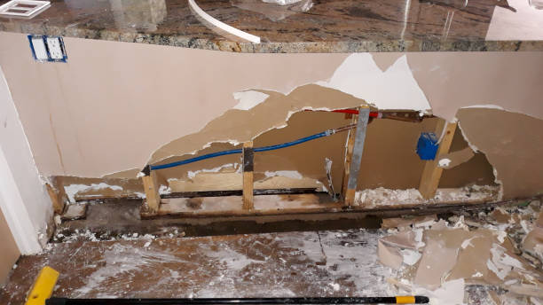 Best Sewage cleanup and water damage restoration  in Paris, MO