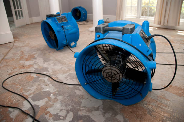 Best Carpet water damage restoration  in Paris, MO