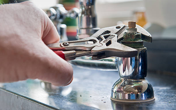 Best Mold removal after water damage  in Paris, MO