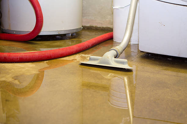 Best Water damage restoration services  in Paris, MO