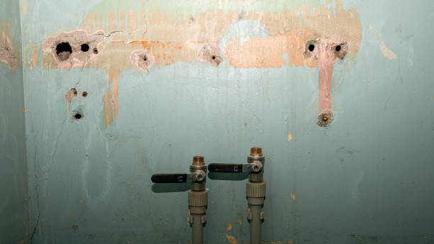 Best 24-hour water damage restoration  in Paris, MO