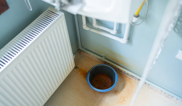 Best Professional water damage repair  in Paris, MO