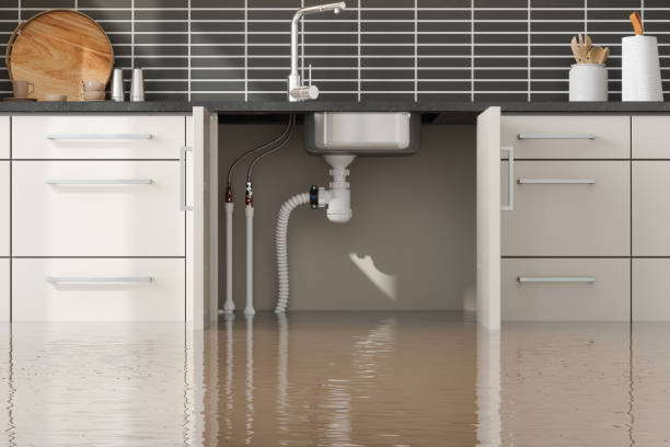 Best Commercial water damage restoration  in Paris, MO